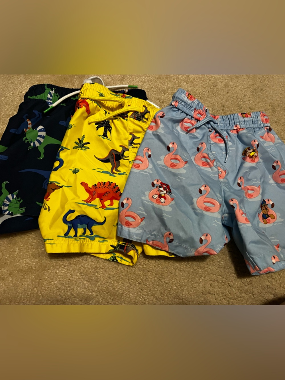 2T boys swim suit bundle